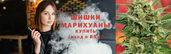 винт Инта