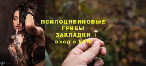 mdma Гатчина