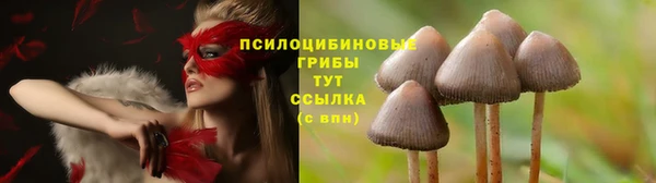 наркотики Инсар
