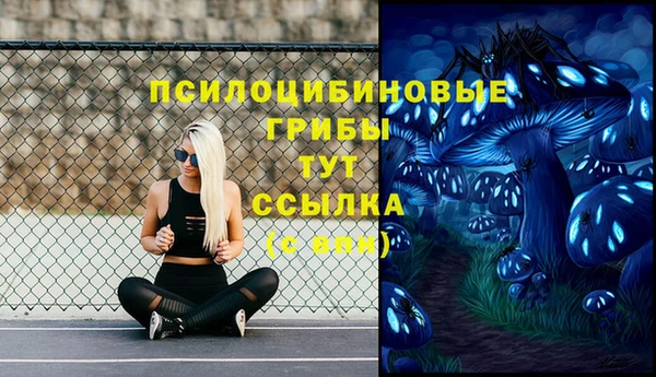 винт Инта