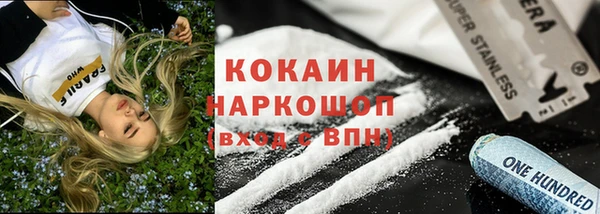 винт Инта