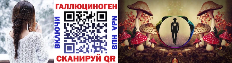 Галлюциногенные грибы Psilocybine cubensis  где купить наркоту  Избербаш 